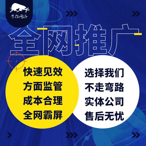 精誠所至，金石為開 上海牛推信息推廣公司網絡技術開發之路